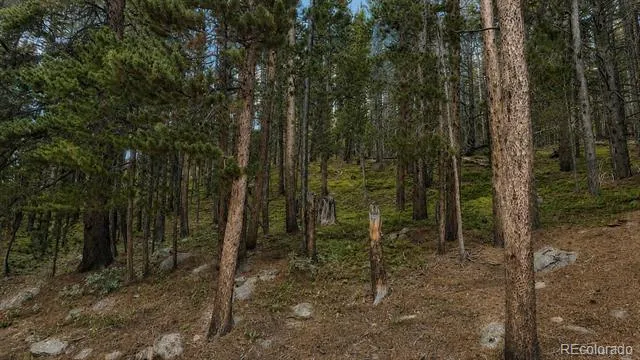000 Steuart Road Idaho Springs, CO 80452