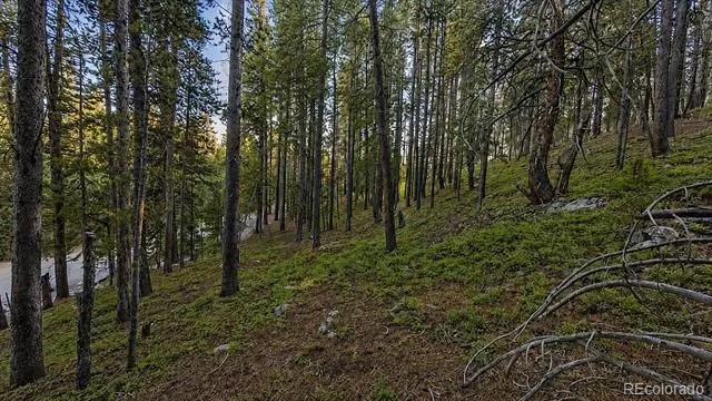 000 Steuart Road Idaho Springs, CO 80452