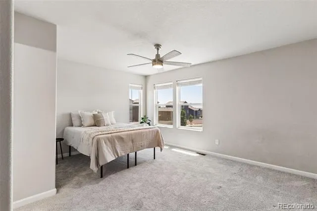 4075 Tiberias Point Colorado Springs, CO 80916
