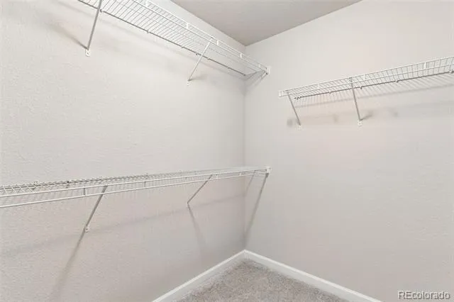 4075 Tiberias Point Colorado Springs, CO 80916