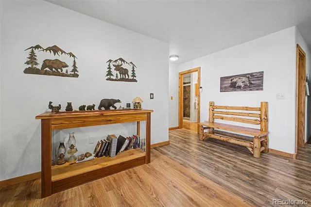 181 Juniper Road Black Hawk, CO 80422