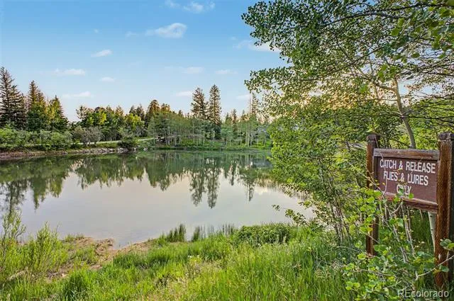 181 Juniper Road Black Hawk, CO 80422