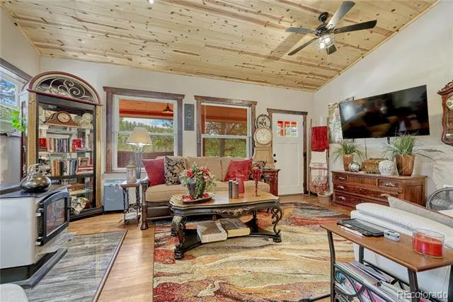 133 Brown Street Bailey, CO 80421