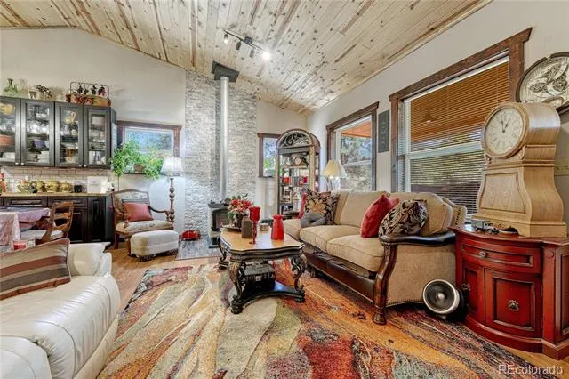 133 Brown Street Bailey, CO 80421