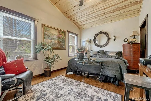 133 Brown Street Bailey, CO 80421