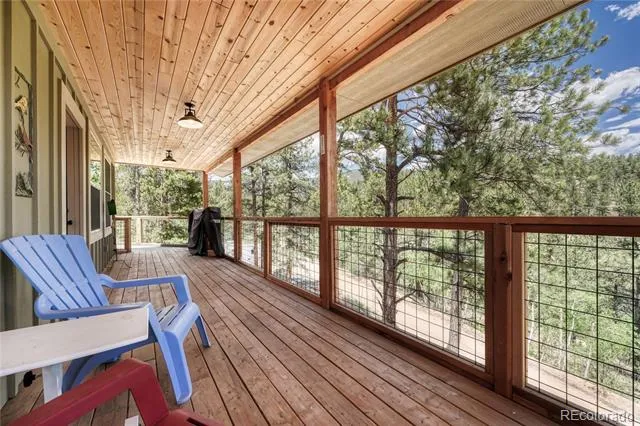 133 Brown Street Bailey, CO 80421