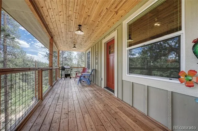 133 Brown Street Bailey, CO 80421