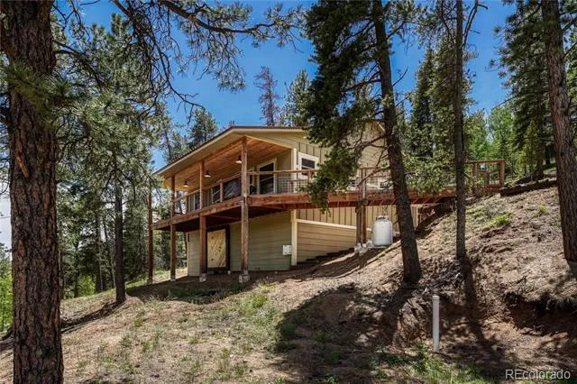 133 Brown Street Bailey, CO 80421