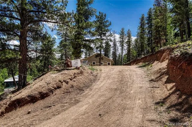 133 Brown Street Bailey, CO 80421