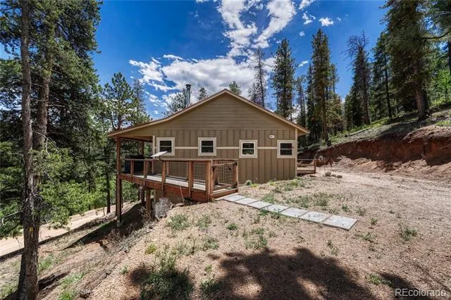133 Brown Street Bailey, CO 80421