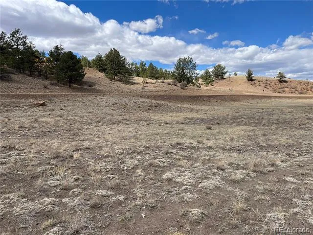 55 Jay Court Hartsel, CO 80449