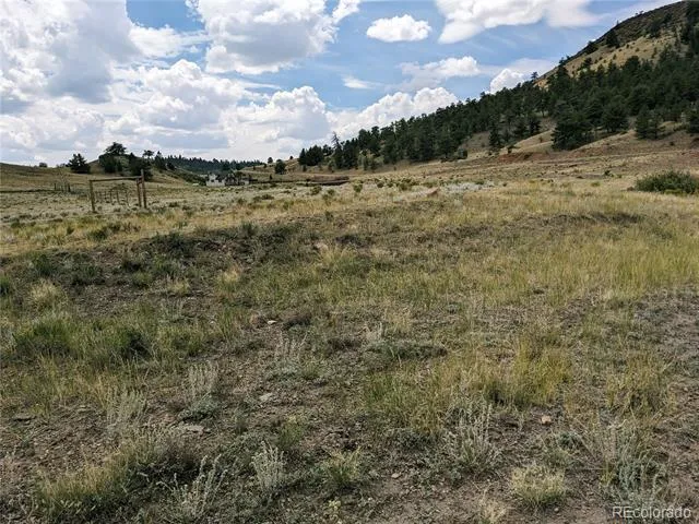 55 Jay Court Hartsel, CO 80449