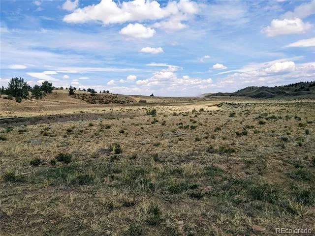 55 Jay Court Hartsel, CO 80449