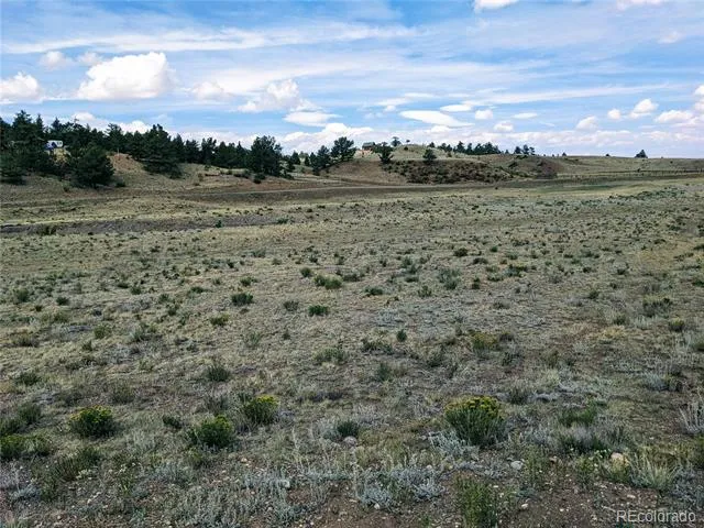 55 Jay Court Hartsel, CO 80449