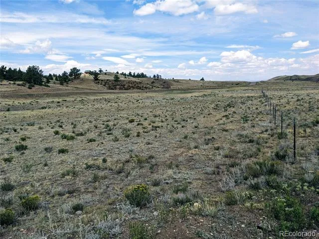 55 Jay Court Hartsel, CO 80449