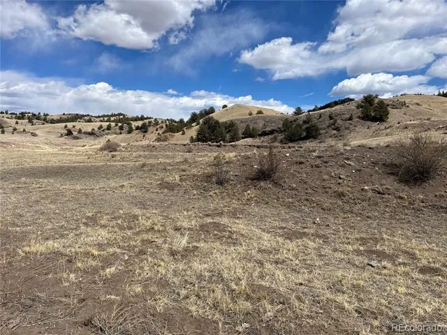 55 Jay Court Hartsel, CO 80449