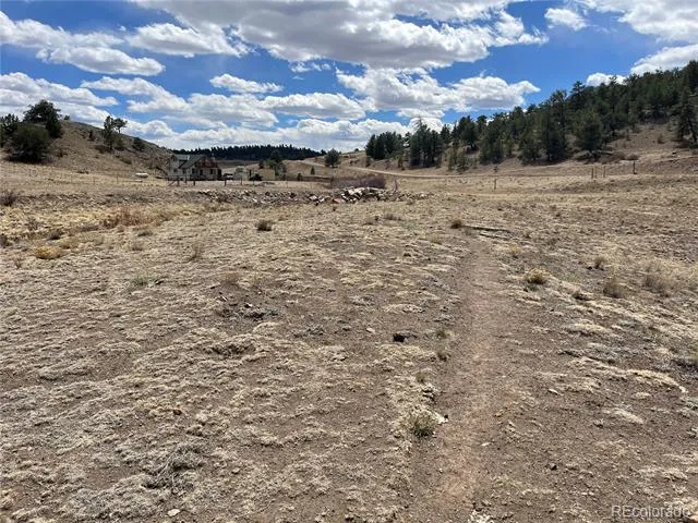 55 Jay Court Hartsel, CO 80449