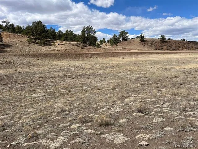 55 Jay Court Hartsel, CO 80449