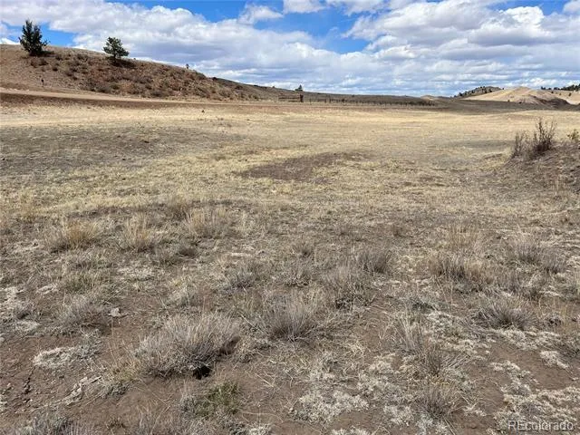 55 Jay Court Hartsel, CO 80449
