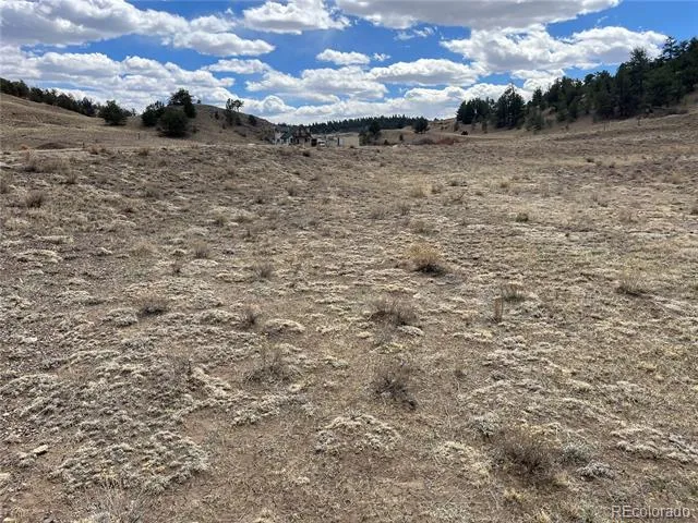 55 Jay Court Hartsel, CO 80449