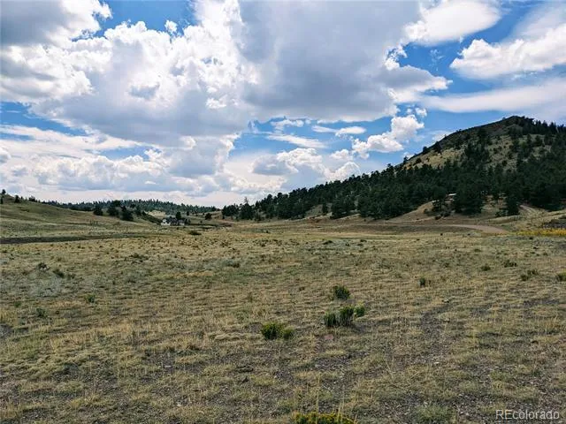 55 Jay Court Hartsel, CO 80449