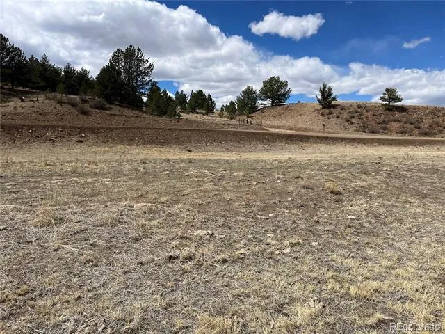 55 Jay Court Hartsel, CO 80449