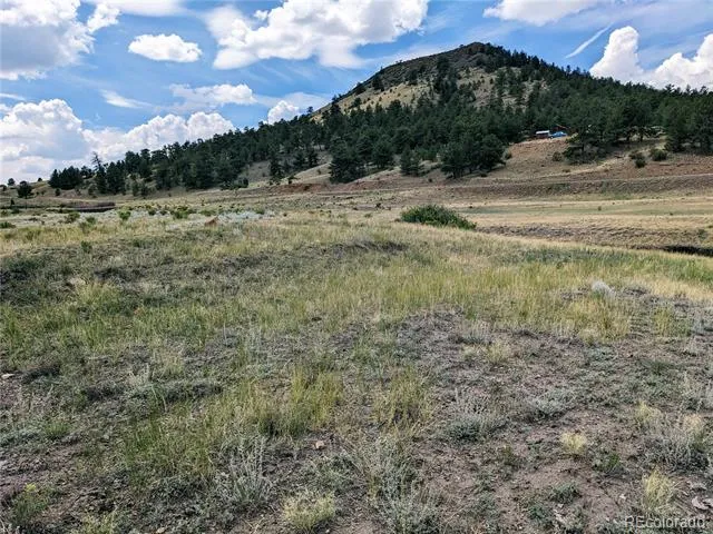55 Jay Court Hartsel, CO 80449