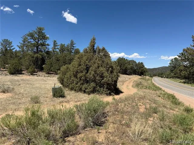 520 W View Road Cotopaxi, CO 81223
