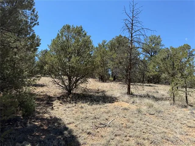 520 W View Road Cotopaxi, CO 81223