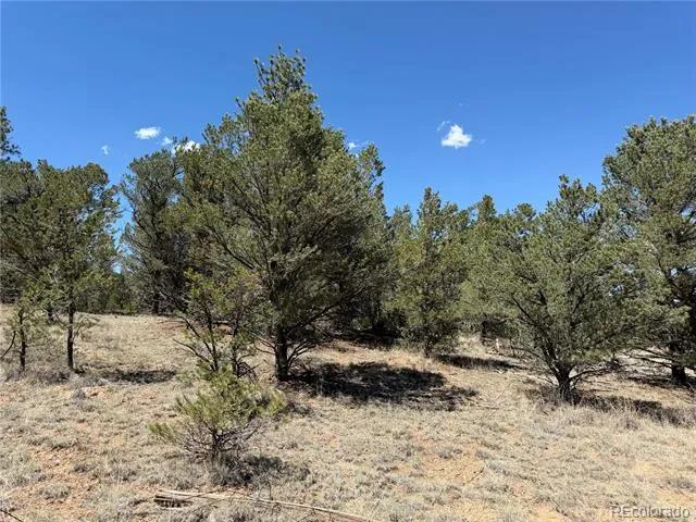 520 W View Road Cotopaxi, CO 81223