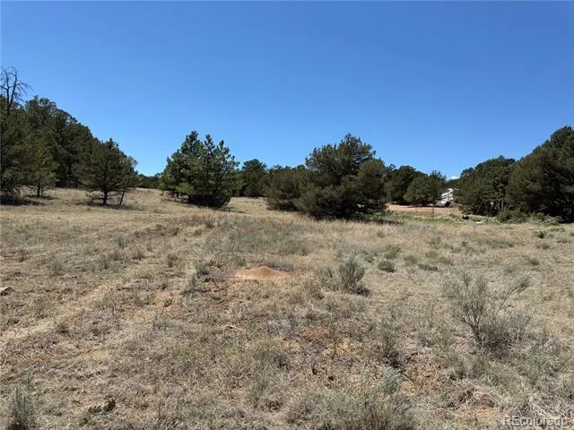 520 W View Road Cotopaxi, CO 81223