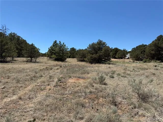 520 W View Road Cotopaxi, CO 81223