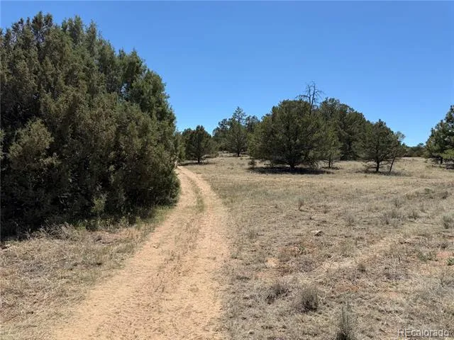 520 W View Road Cotopaxi, CO 81223