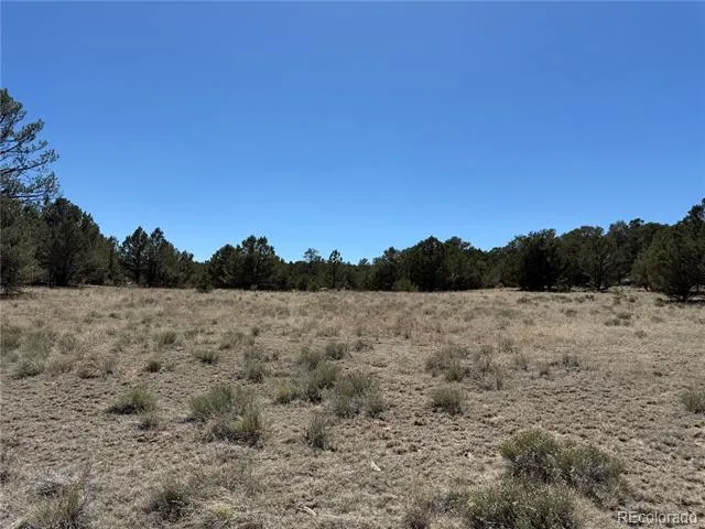 520 W View Road Cotopaxi, CO 81223