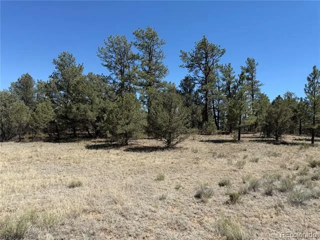 520 W View Road Cotopaxi, CO 81223