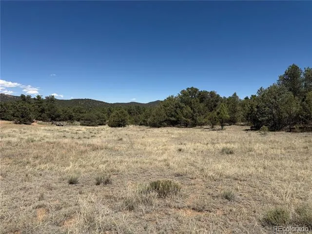 520 W View Road Cotopaxi, CO 81223