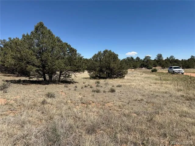 520 W View Road Cotopaxi, CO 81223