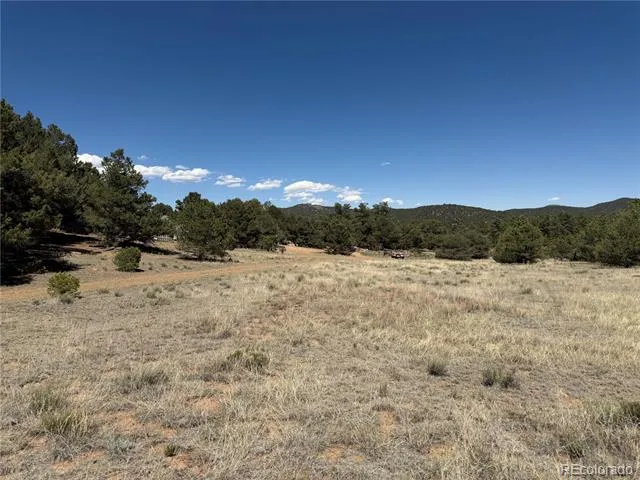 520 W View Road Cotopaxi, CO 81223