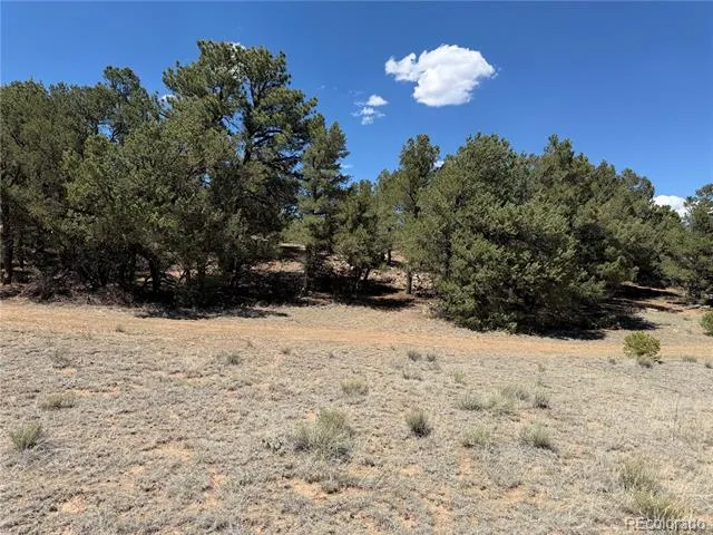 520 W View Road Cotopaxi, CO 81223
