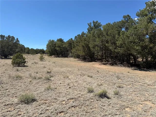 520 W View Road Cotopaxi, CO 81223