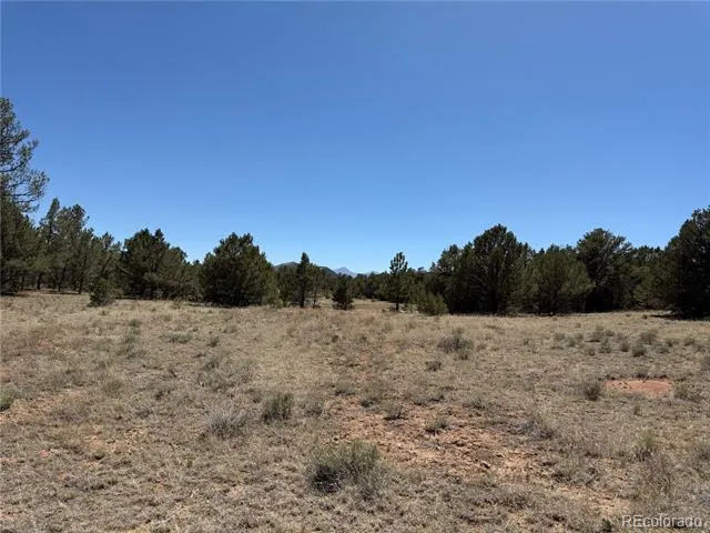 520 W View Road Cotopaxi, CO 81223