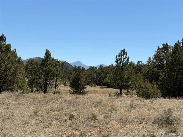 520 W View Road Cotopaxi, CO 81223