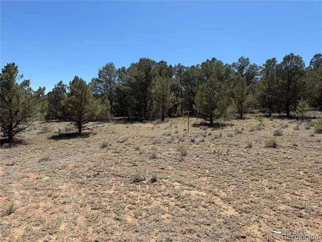 520 W View Road Cotopaxi, CO 81223