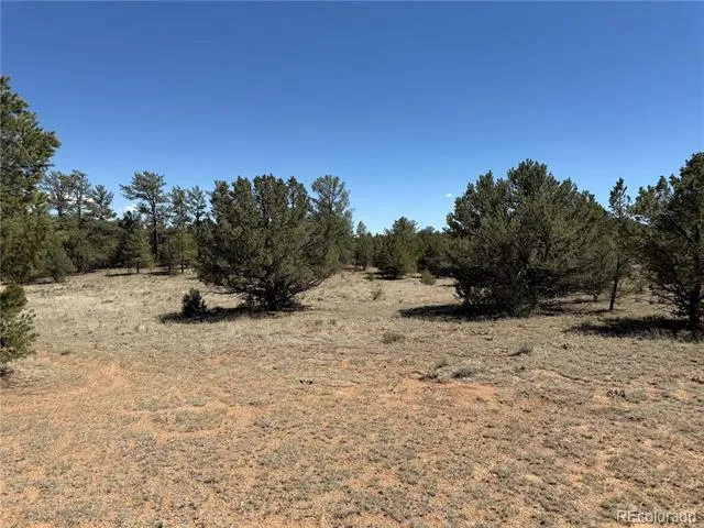 520 W View Road Cotopaxi, CO 81223