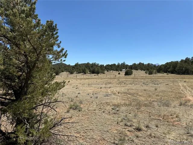 520 W View Road Cotopaxi, CO 81223