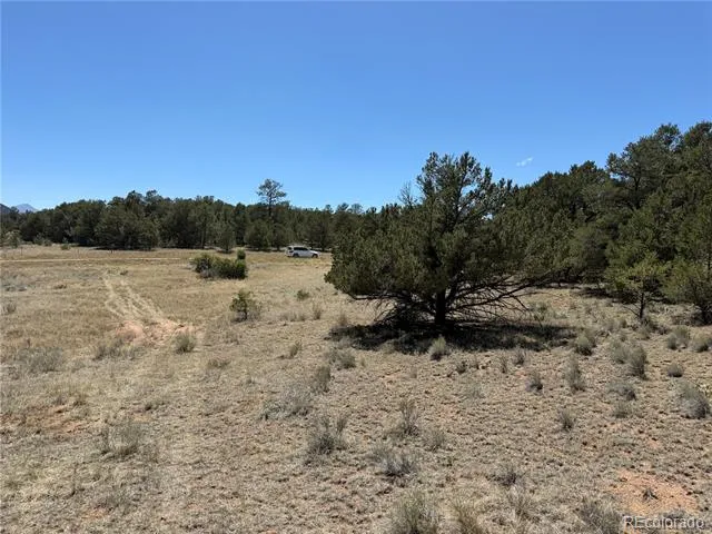520 W View Road Cotopaxi, CO 81223