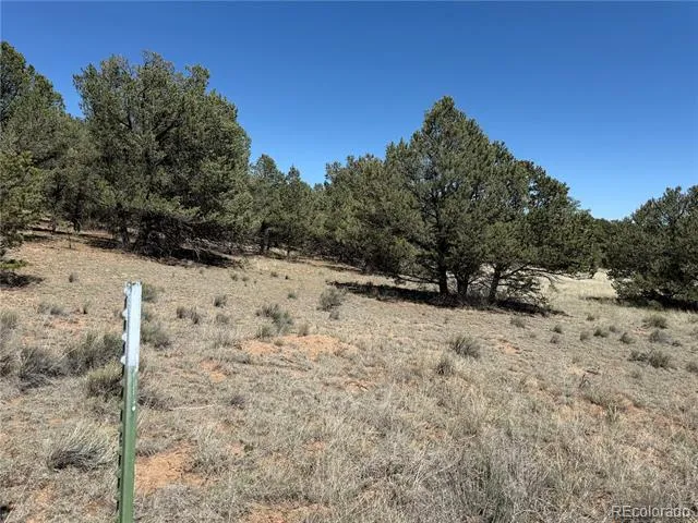 520 W View Road Cotopaxi, CO 81223