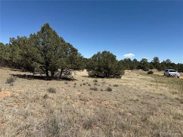 520 W View Road Cotopaxi, CO 81223
