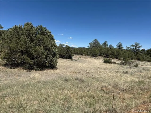520 W View Road Cotopaxi, CO 81223