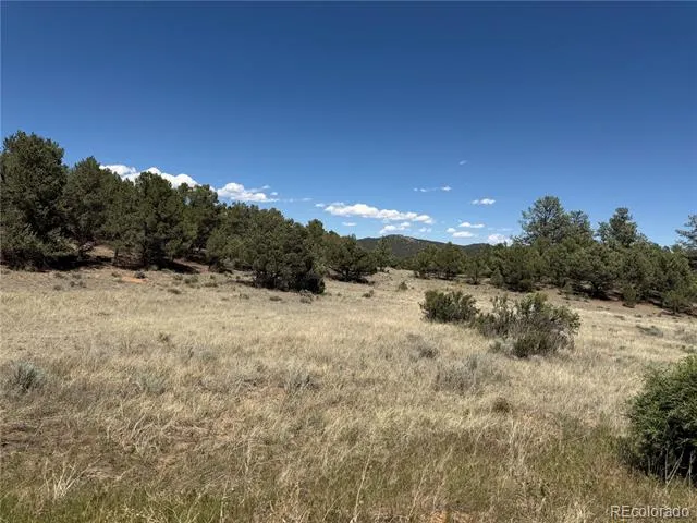 520 W View Road Cotopaxi, CO 81223